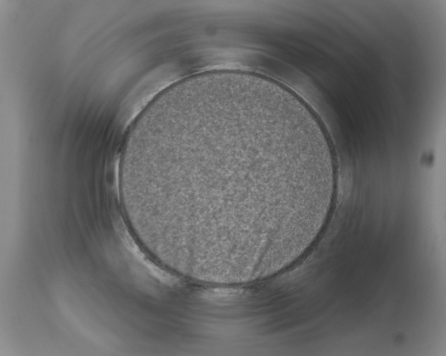 X0000113941290200911061233