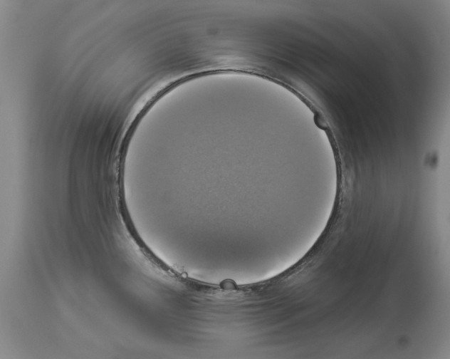 X0000113941291200911061233