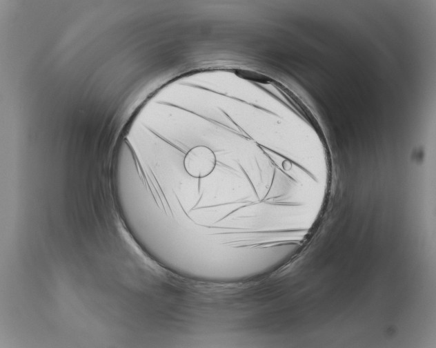 X0000113941293200911061233