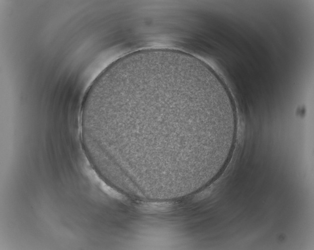 X0000113941294200911061233