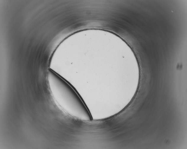 X0000113941296200911061233