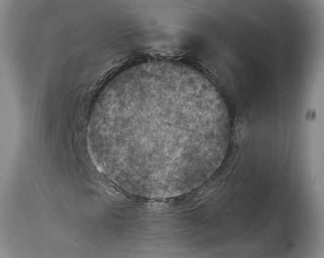 X0000113941297200911061232