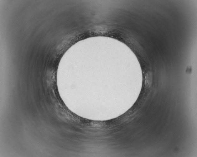 X0000113941299200911061232
