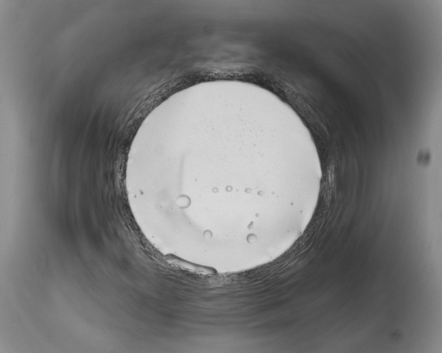 X0000113941300200911061232