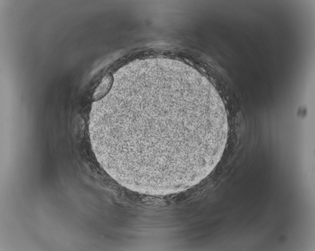 X0000113941302200911061232