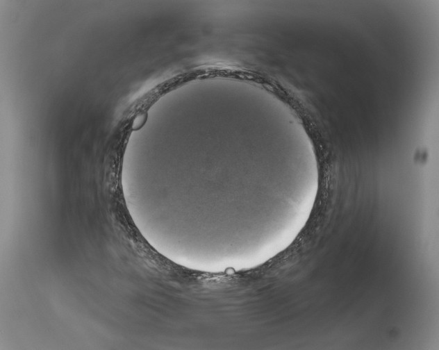 X0000113941303200911061232