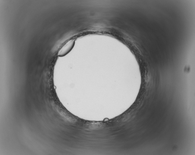 X0000113941304200911061232
