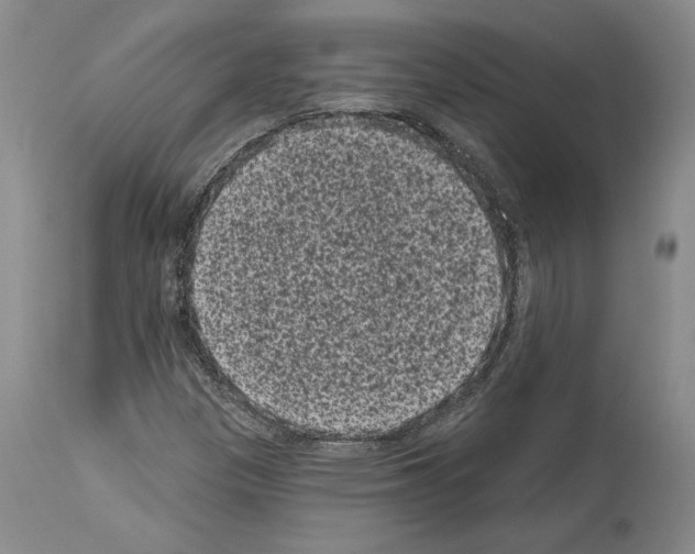 X0000113941305200911061232