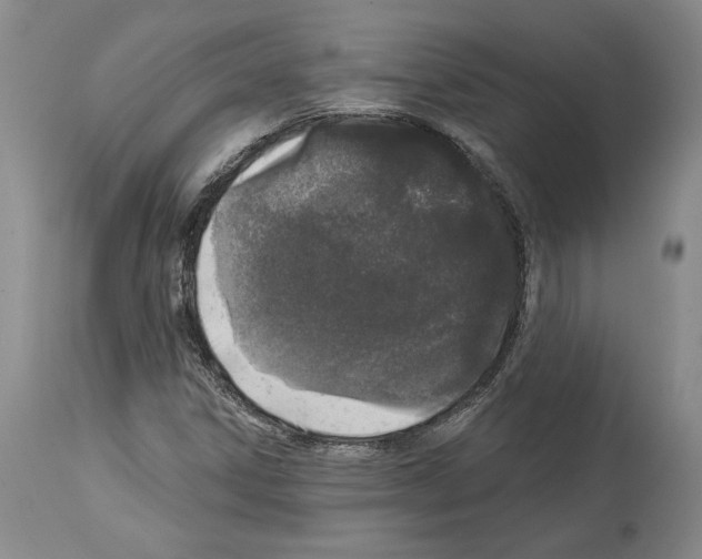 X0000113941306200911061232