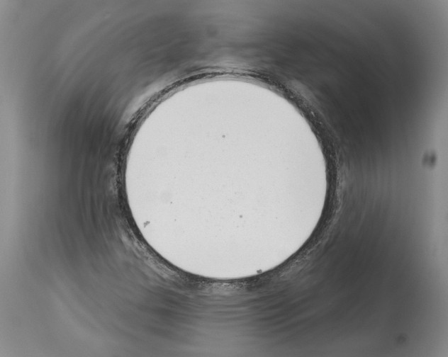 X0000113941307200911061232