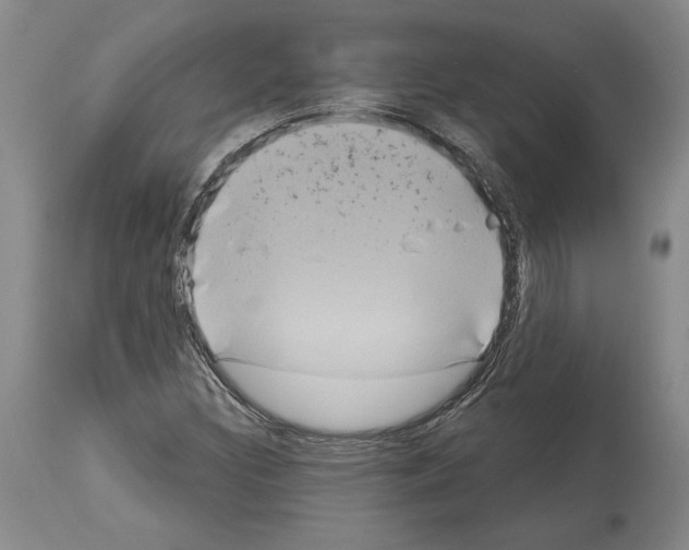 X0000113941308200911061232