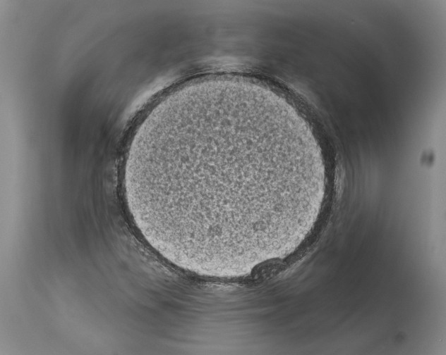 X0000113941309200911061232
