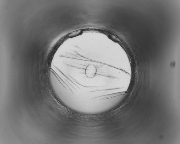 X0000113941310200911061232