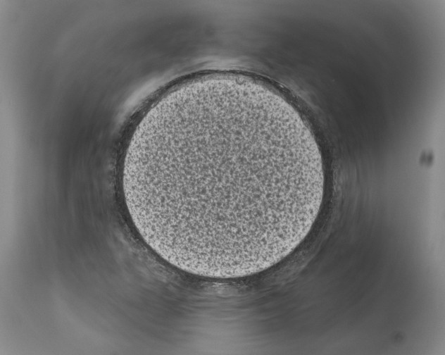 X0000113941311200911061232