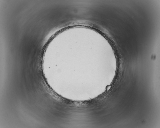 X0000113941312200911061232