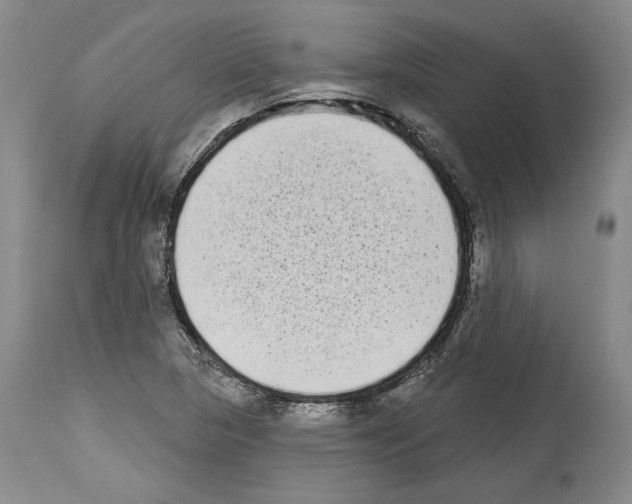 X0000113941313200911061232