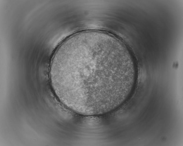 X0000113941314200911061232