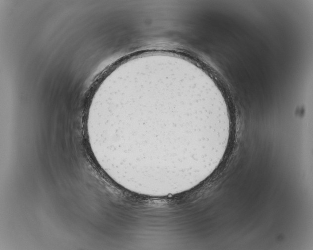 X0000113941315200911061232