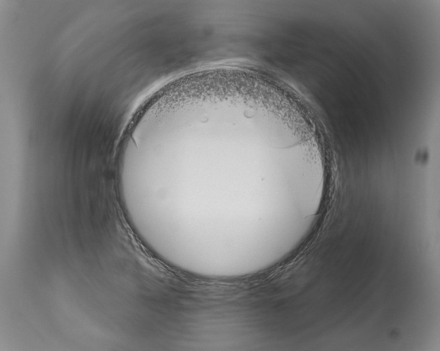 X0000113941316200911061232