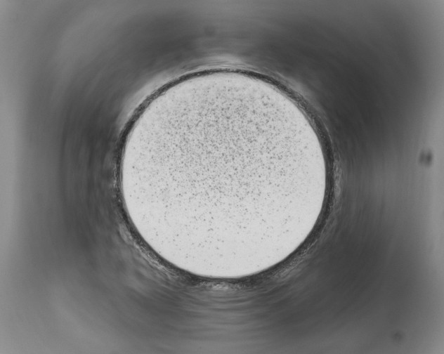 X0000113941318200911061232