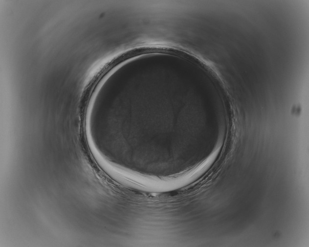 X0000113941319200911061232