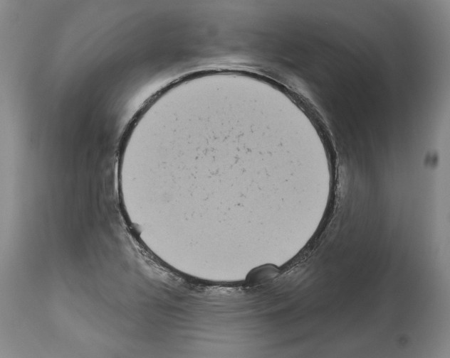 X0000113941320200911061232