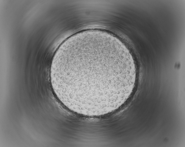 X0000113941321200911061232
