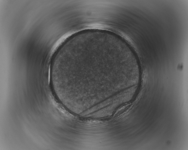 X0000113941323200911061232