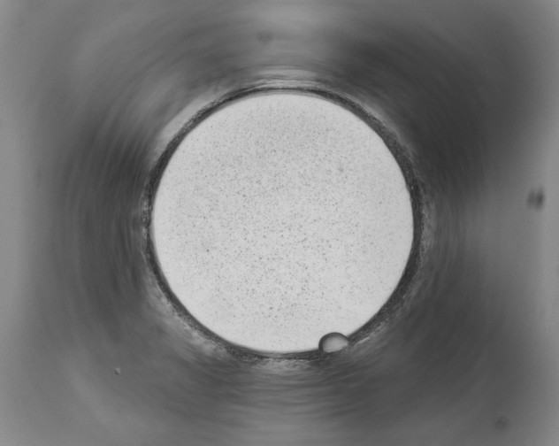 X0000113941325200911061232