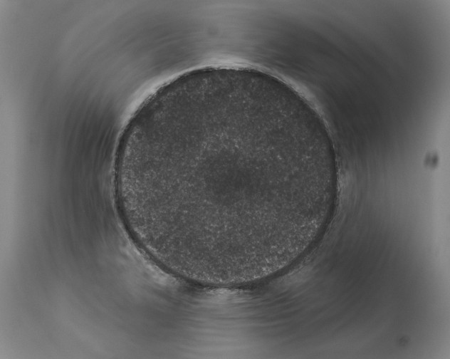 X0000113941327200911061232
