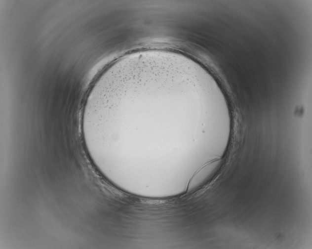 X0000113941328200911061232