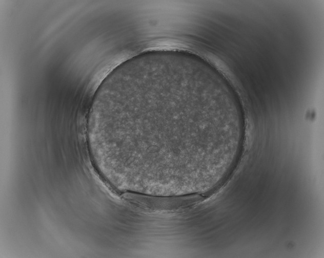 X0000113941329200911061232