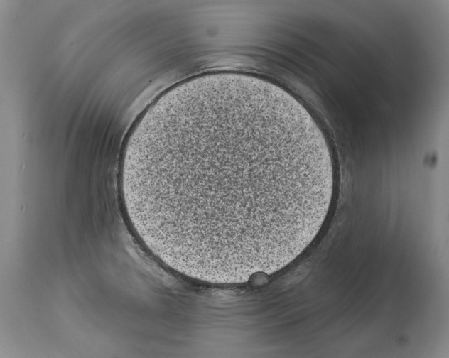 X0000113941330200911061232