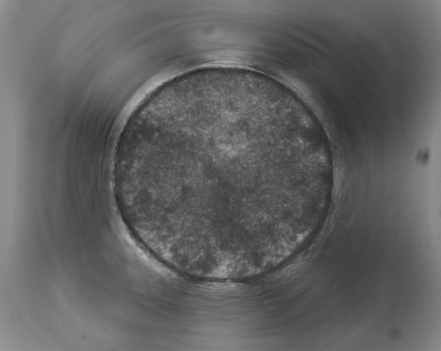 X0000113941331200911061232