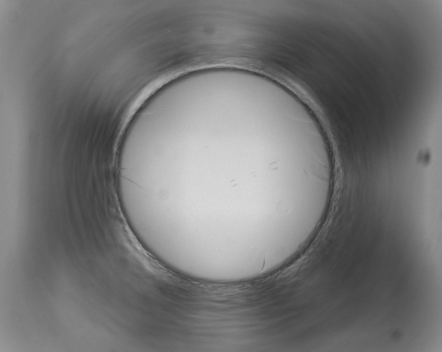 X0000113941332200911061232