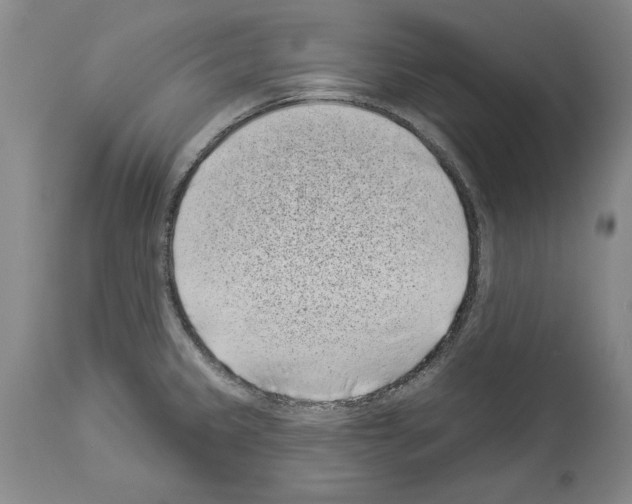X0000113941333200911061232