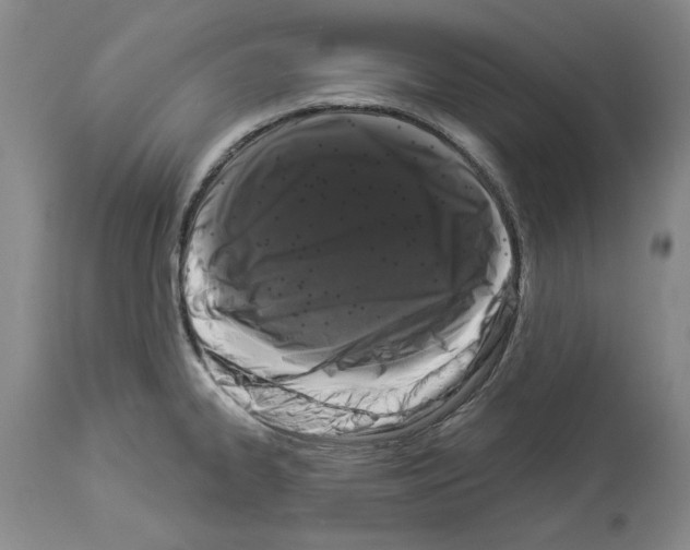 X0000113941334200911061232