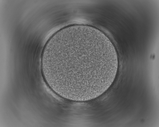 X0000113941335200911061232