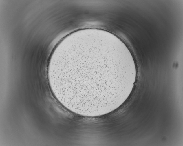 X0000113941336200911061233