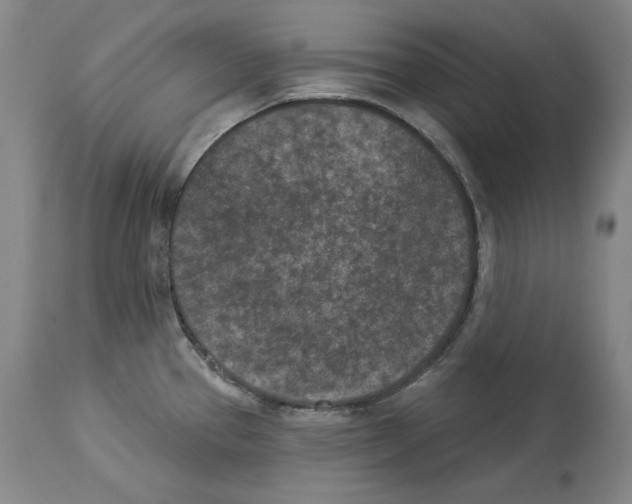 X0000113941337200911061233