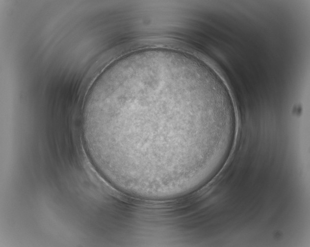 X0000113941338200911061233