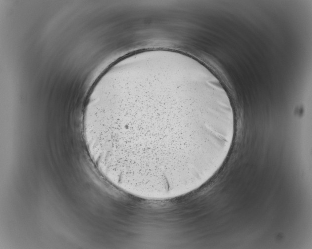 X0000113941340200911061233