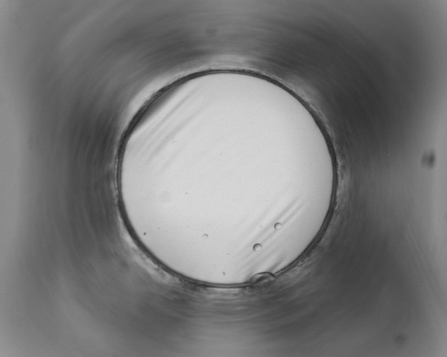 X0000113941342200911061233