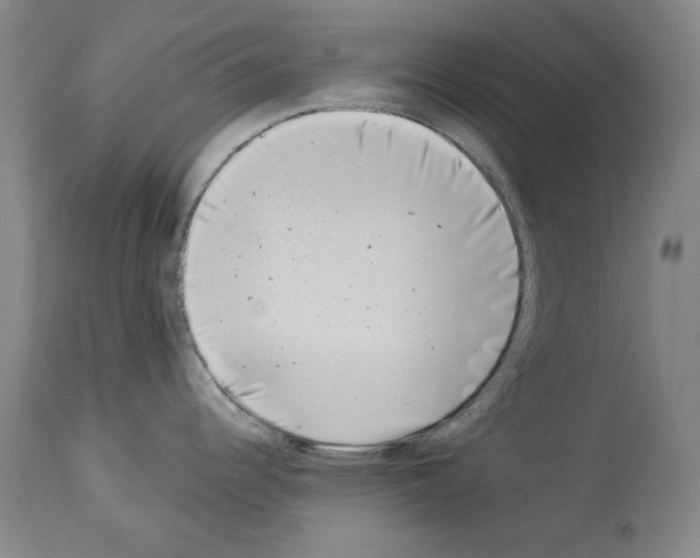 X0000113941344200911061233