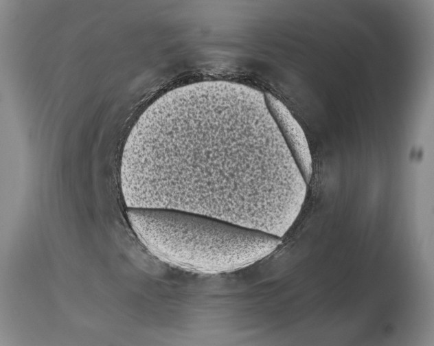X0000113941345200911061232