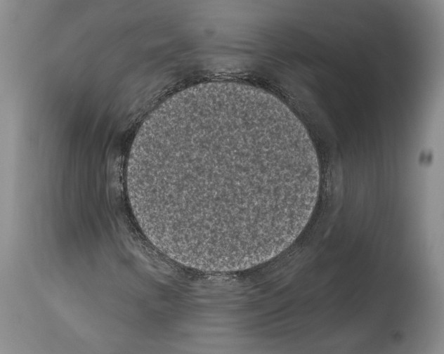 X0000113941346200911061232