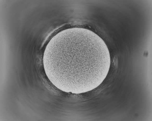 X0000113941348200911061232