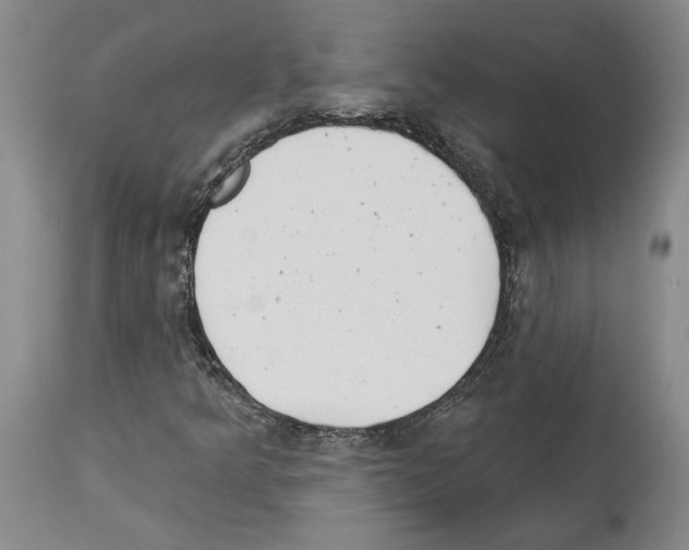 X0000113941349200911061232