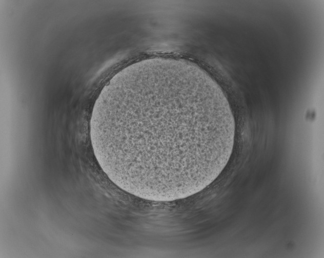 X0000113941350200911061232