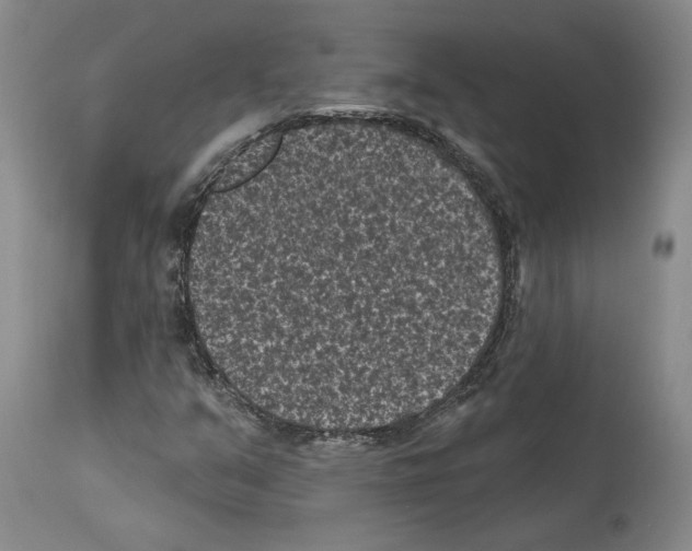 X0000113941351200911061232
